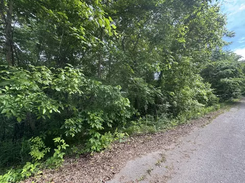 0 Park Dr, Silver Point, TN 38582 photo 4