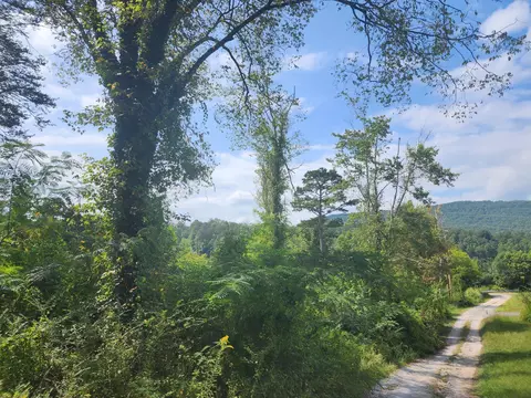 252 Spring City Hwy, Rockwood, TN 37854