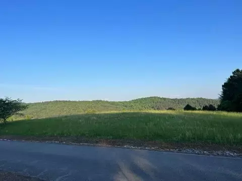 51 The Gates Dr, Decatur, TN 37322