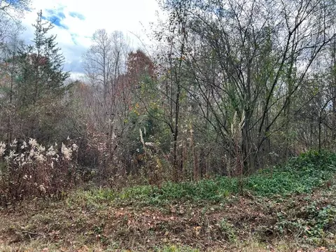 0 County Road 24, Calhoun, TN 37309