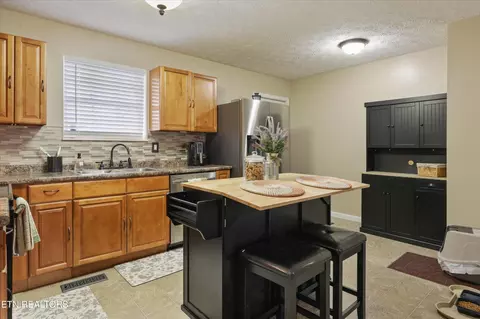 1306 Tabitha Dr, White Pine, TN 37890 photo 8