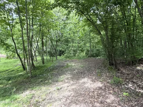 316 Wiley Town Rd, Newport, TN 37821