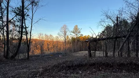 2100 Cottonport Ridge Rd, Decatur, TN 37322