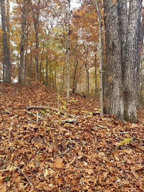 3763 Dixie Court Dr SE, Cleveland, TN 37323