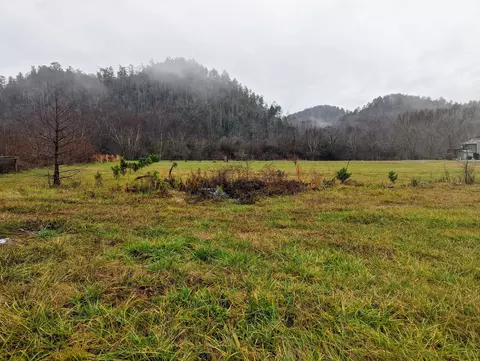 49 Morning Dunn Dr, Reliance, TN 37369