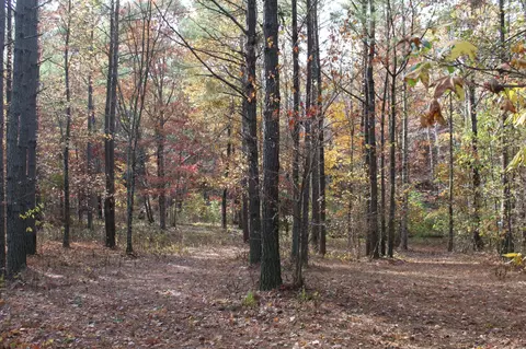 465 Compass Dr, Jasper, TN 37347 photo 7