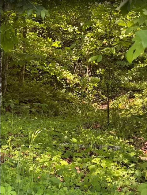 0 Spring Creek Rd, Cookeville, TN 38501
