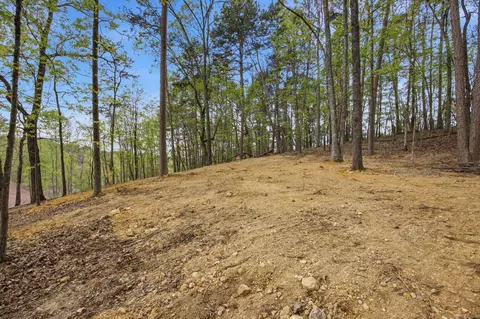 8769 Hidden Branches Rd, Harrison, TN 37341 photo 38