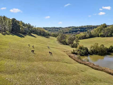 2846 Fuller Hollow Rd, Cornersville, TN 37047