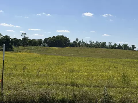0 Pinson Rd, Springfield, TN 37172