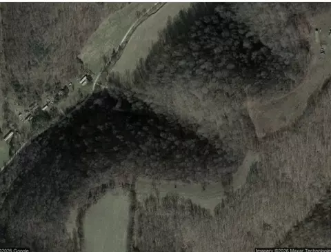 940 Wilmore Hollow Rd, Pleasant Shade, TN 37145