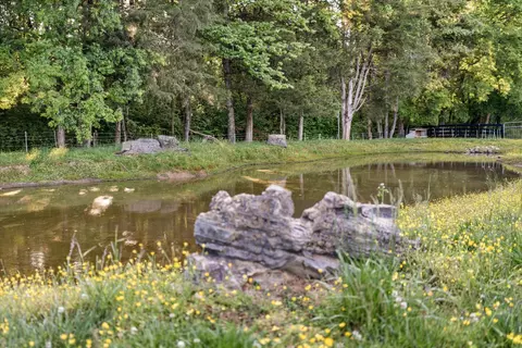 View/Area - 2031 Maple Ln, Franklin, TN 37067 photo 5 of 6