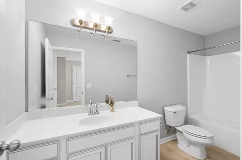 Bath - 2044 Alysheba Run, Murfreesboro, TN 37128 photo 3 of 4