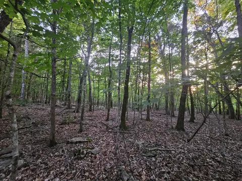 3 Sewanee Summit Rd, Decherd, TN 37324