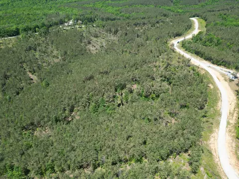 140 Pinewood Dr, Hohenwald, TN 38462