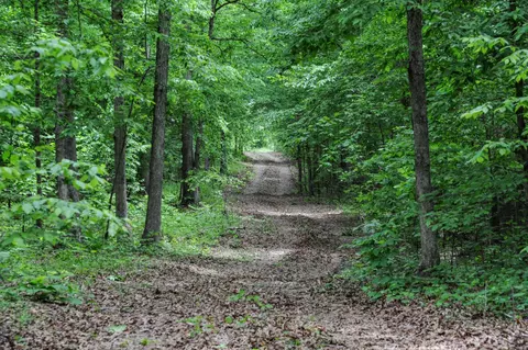 1855 Shiloh Church Rd, Camden, TN 38320