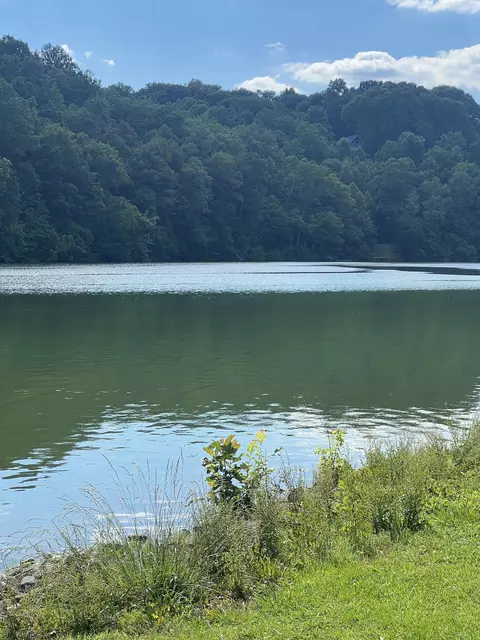 187 Rigsbys Rdg, Lynchburg, TN 37352