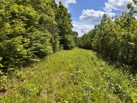 0 Dude Rd, Savannah, TN 38372