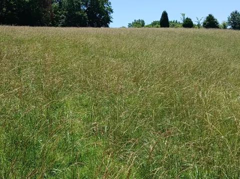 0 Lockertsville Rd, Ashland City, TN 37015