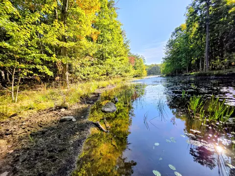 6 Beechwood Trl, Coalmont, TN 37313