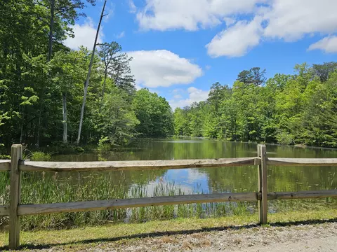 6 Beechwood Trl, Coalmont, TN 37313