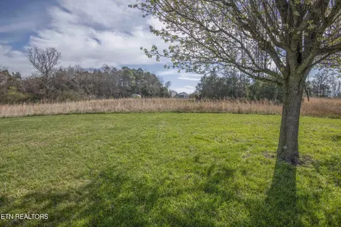 9656 Captain Smith Ln, Corryton, TN 37721 photo 49