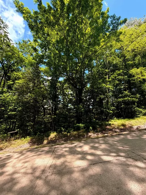 33 Swiper Dr, Smithville, TN 37166