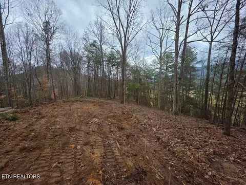3 Parksville Rd, Benton, TN 37307