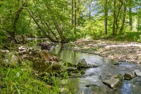 Other - 2440 Maple Grove Rd, Dickson, TN 37055 photo 35 of 39