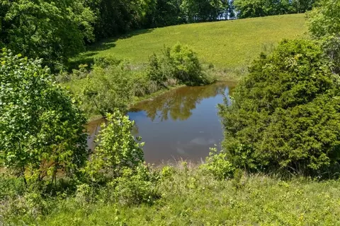 View/Area - 2440 Maple Grove Rd, Dickson, TN 37055 photo 4 of 6