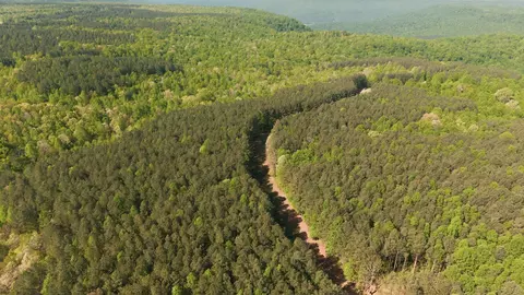 0 Browns Trace Rd, South Pittsburg, TN 37380