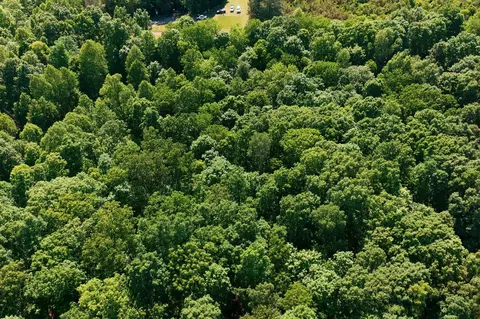 0 Maple Grove Rd, Dickson, TN 37055 photo 19