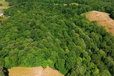 0 Maple Grove Rd, Dickson, TN 37055 photo 9