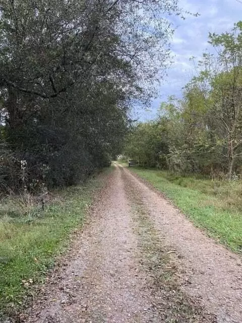 376 County Road 116, Riceville, TN 37370