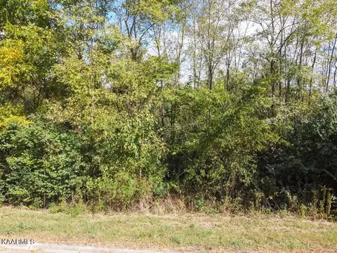 0 Ambernic Way, Sweetwater, TN 37874