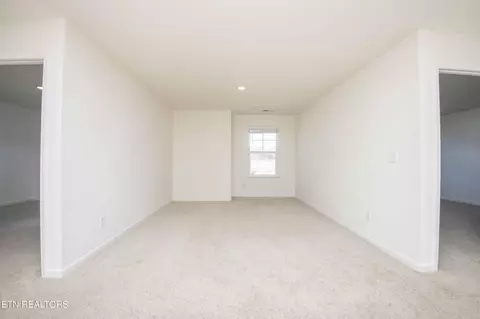 1245 Cole Dr, Talbott, TN 37877 photo 14