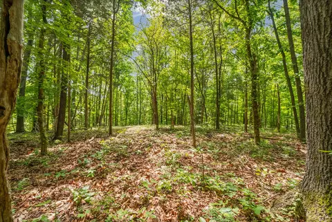 1 Budds Creek Rd, Palmyra, TN 37142