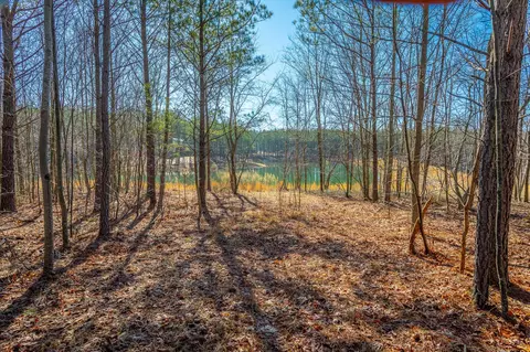0 Cherokee Path, Jasper, TN 37347 photo 12