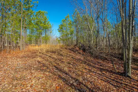 0 Cherokee Path, Jasper, TN 37347 photo 13