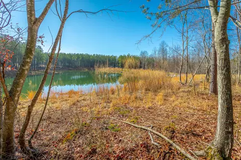 0 Cherokee Path, Jasper, TN 37347 photo 7