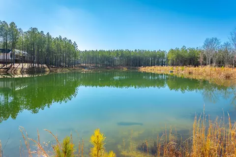 0 Cherokee Path, Jasper, TN 37347 photo 8