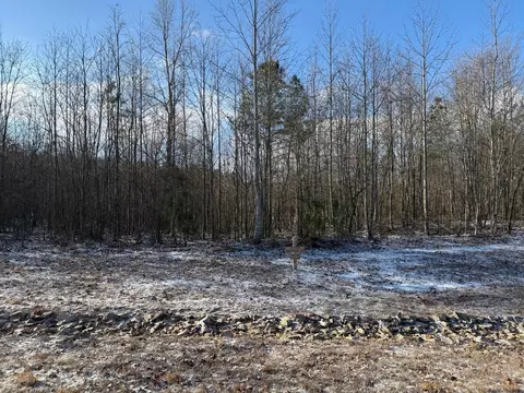 0 Cherokee Path, Jasper, TN 37347 photo 29