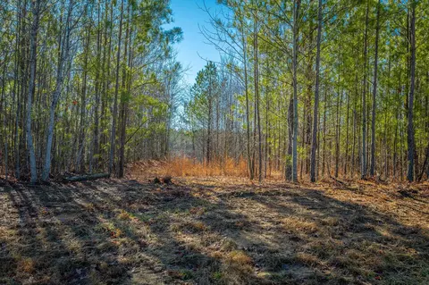 0 Cherokee Path, Jasper, TN 37347 photo 5