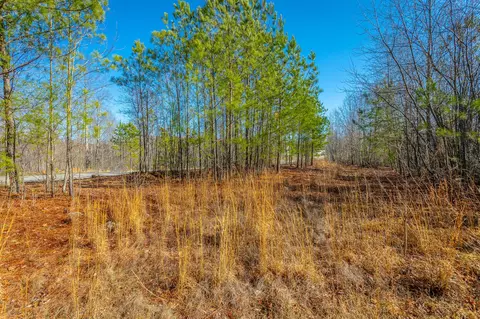 0 Cherokee Path, Jasper, TN 37347 photo 14
