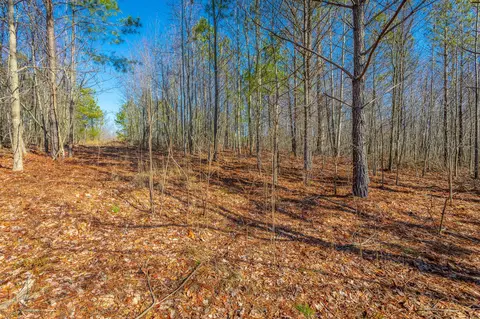 0 Cherokee Path, Jasper, TN 37347 photo 11