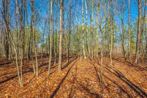 0 Cherokee Path, Jasper, TN 37347 photo 4