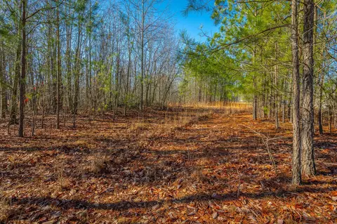 0 Cherokee Path, Jasper, TN 37347 photo 9