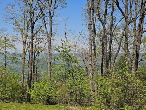 0 Maggie Blf, Lookout Mountain, GA 30750