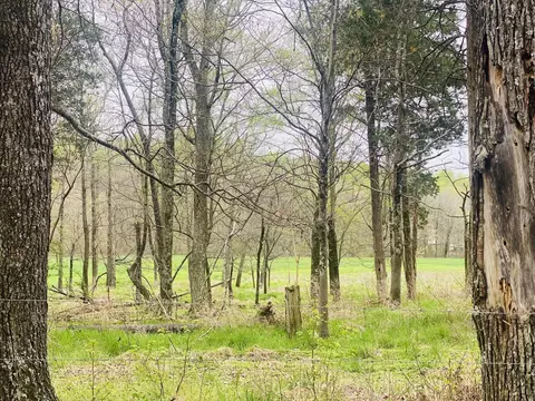 0 Thomasville Rd, Chapmansboro, TN 37035