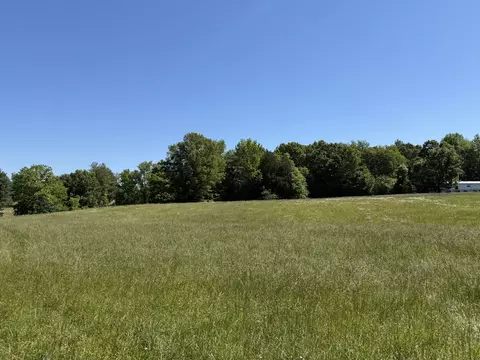 0 Flewellen Rd, Springfield, TN 37172 photo 2